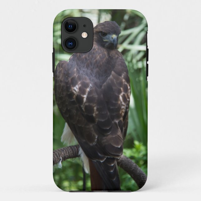 Red Schwanz Hawk Bird Case-Mate iPhone Hülle (Rückseite)