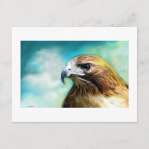 Red Schwanz Hawk Card Postkarte
