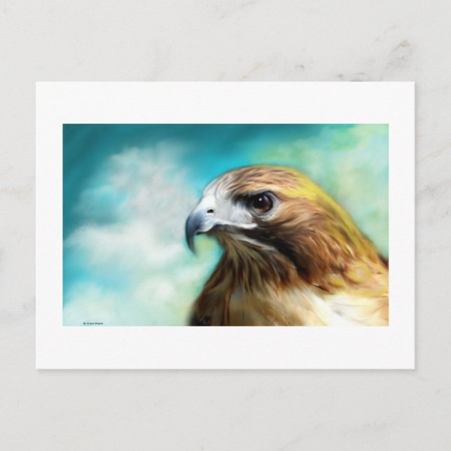 Red Schwanz Hawk Card Postkarte (Vorderseite)