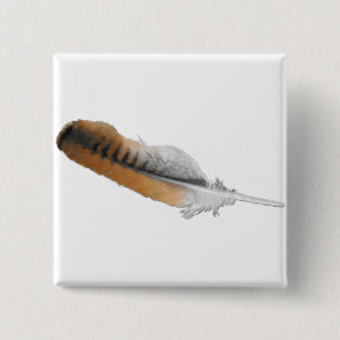Red-Schwanz Hawk feather Button