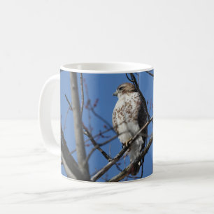 Red Schwanz Hawk Kaffeetasse