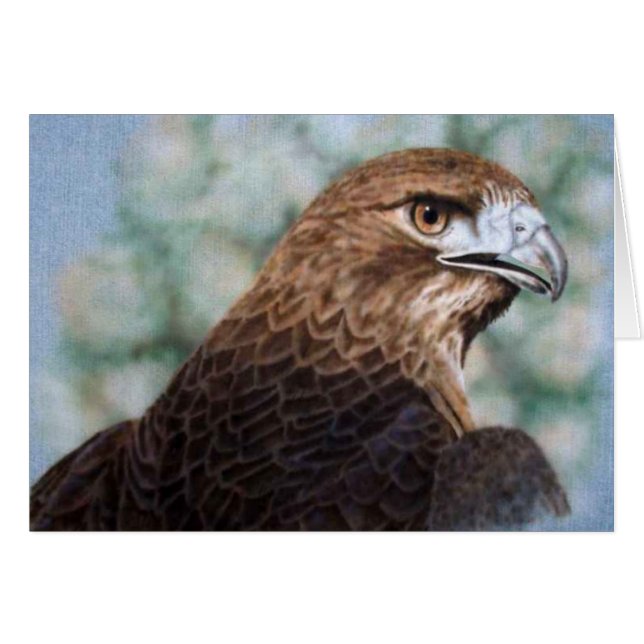 Red-Schwanz-Hawk-Karte (Vorderseite (Horizontal))