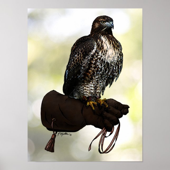 Red-Schwanz Hawk on Glove Poster (Vorne)