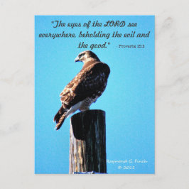 Red Schwanz Hawk - Postcard - Sprichwörter 15:3 Postkarte