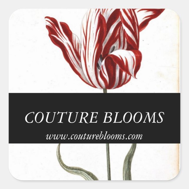 Red Schwarz-weiß Tulip Florist Square Stickers (Vorderseite)