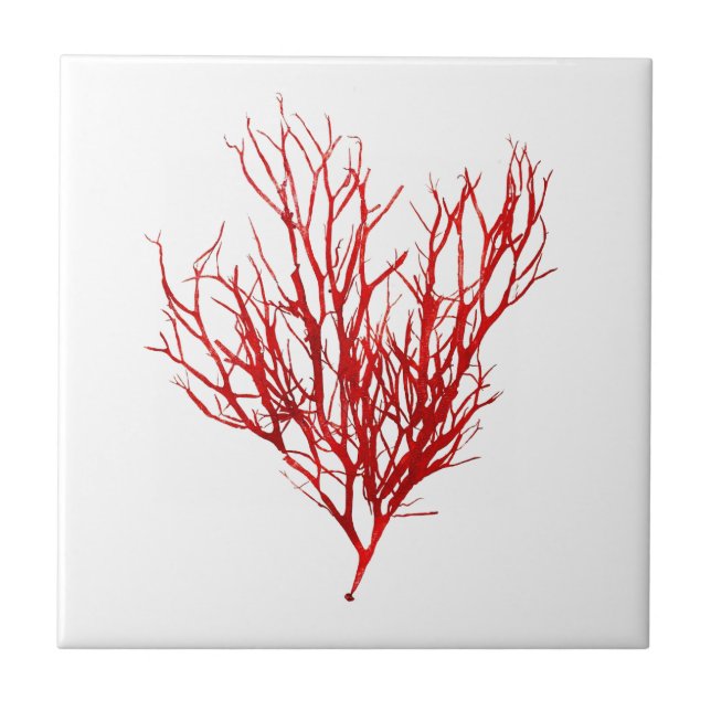 Red Seaweed Art Nr. 10 Beach Thema Dekor Fliese (Vorderseite)