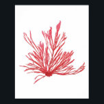 Red Seaweed Art Print No.1 Beach Deco Poster<br><div class="desc">Rote Algen Nr.1 Antike Naturgeschichte Print. Dies ist eine antike Algenillustrierung aus dem 18. Jahrhundert, die digital in brillante Farben wie sie der ursprüngliche Künstler beabsichtigt hatte wiederhergestellt wurde. Bitte stöbern Sie in unserem Shop nach anderen passenden Algendrucken. Wenn sie gerahmt und in einer Gruppe zusammen ausgestellt werden, machen sie...</div>