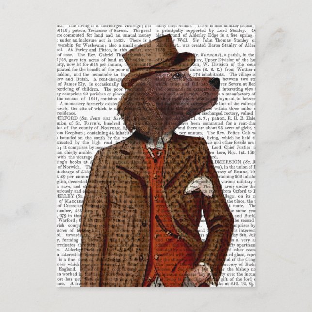 Red Setter Rider Portrait Postkarte (Vorderseite)