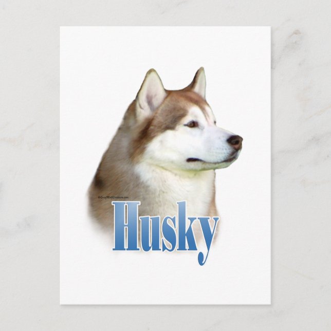 Red Siberian Husky Name Postkarte (Vorderseite)