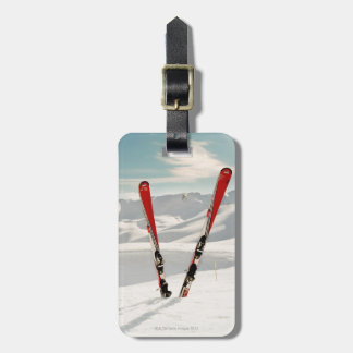 Red Skis Gepäckanhänger