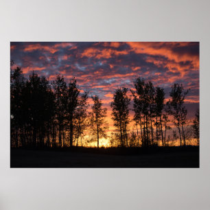 Red Sky in Night Poster