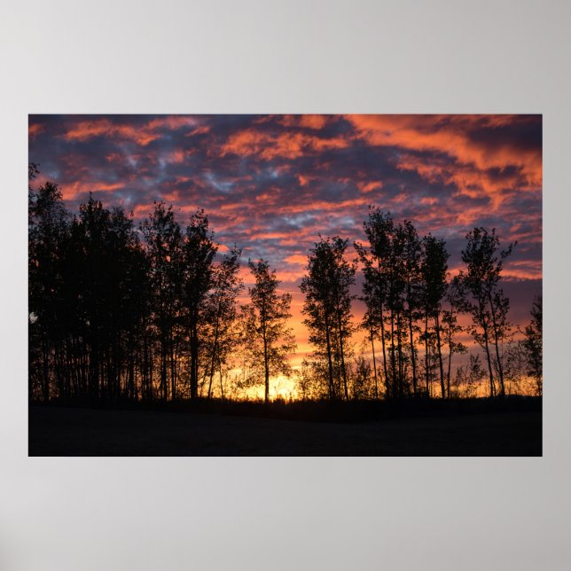 Red Sky in Night Poster (Vorne)
