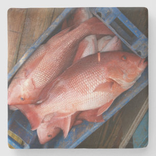 Red Snapper Square Untersetzer