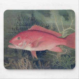 Red Snapper, von "Game Fish the United Staat Mousepad
