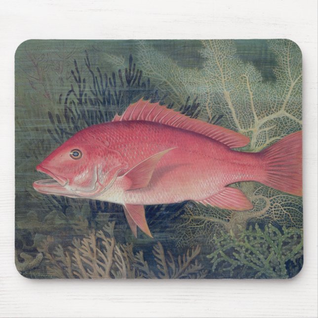 Red Snapper, von "Game Fish the United Staat Mousepad (Vorne)