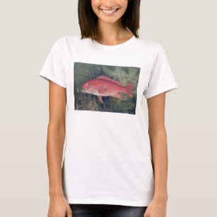 Red Snapper, von "Game Fish the United Staat T-Shirt