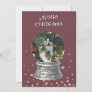 Red Snowglobe Snowflake Foto Flat Holiday Card Feiertagskarte