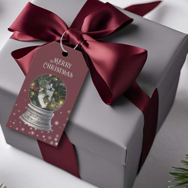 Red Snowglobe Snowflake Foto Geschenkanhänger (red snow globe snowflake gift tag)