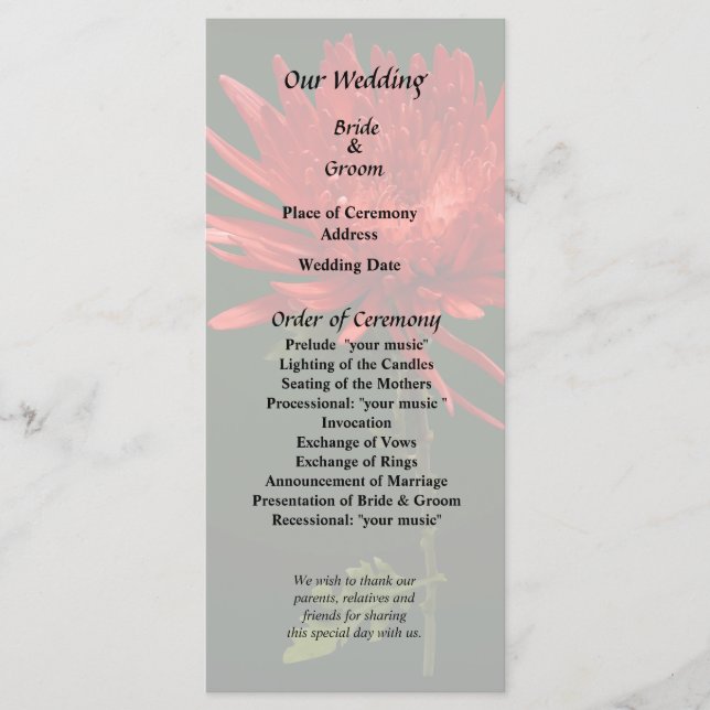 Red Spider Mum Programm (Vorderseite)