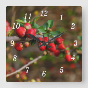 Red Spring Bug Wall Clock Quadratische Wanduhr