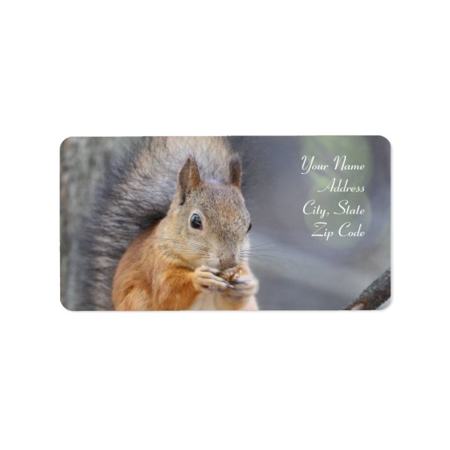 Red Squirrel Address Labels Adressaufkleber (Vorne)