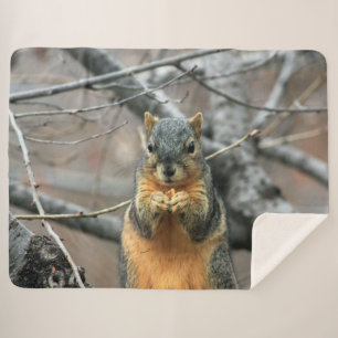 RED SQUIRRL SHERPADECKE