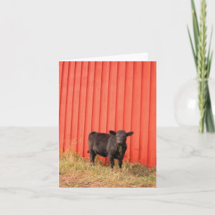 Red Stall Note Card Schwarze Kuh Karte
