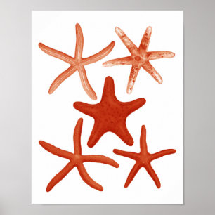 Red Starfish No.1 Stranddekoration Wand an Wand Dr Poster