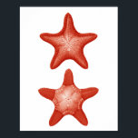 Red Starfish No.2 Nautical Wall Art Deco Print Poster<br><div class="desc">Red Starfish No.2 Nautical Wall Art Deco Print</div>