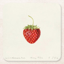 Red Strawberry (von Louis C.C. Krieger) Rechteckiger Pappuntersetzer