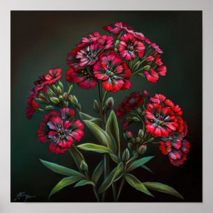 Red Sweet William Blume Art Print Poster