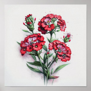 Red Sweet William Blume Art Print Poster