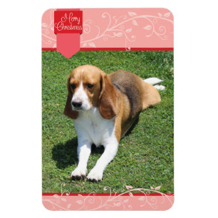 Red Tab & Blüh Merry Christmas Magnet