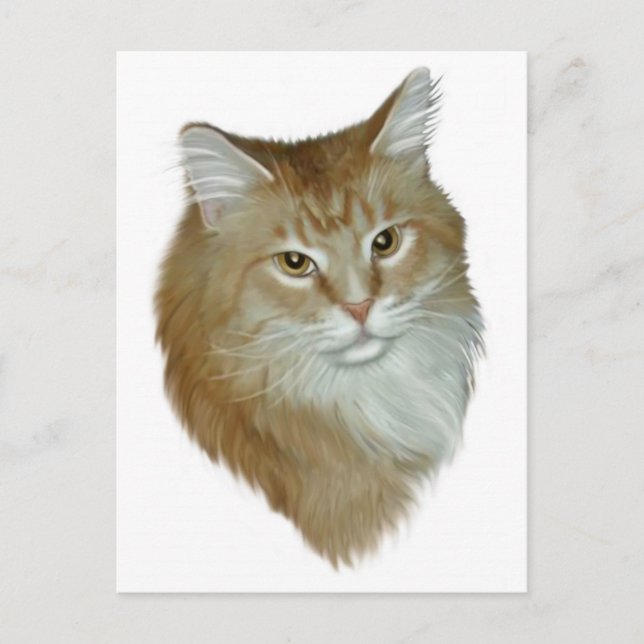 Red Tabby Maine Coon Postkarte (Vorderseite)