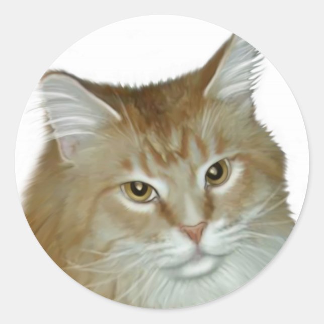 Red Tabby Maine Coon Runder Aufkleber (Vorderseite)