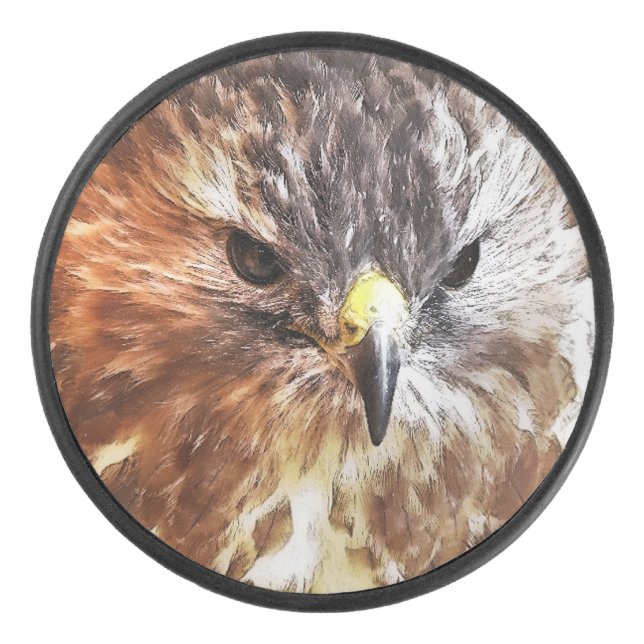RED TAED HAWK EISHOCKEY PUCK (Vorderseite)