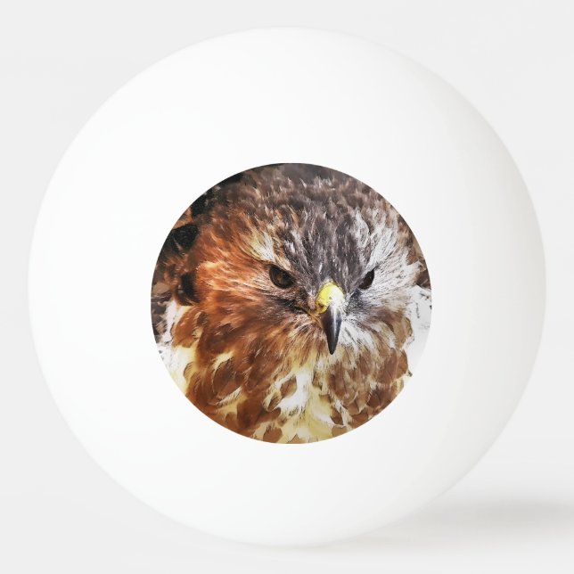 RED TAED HAWK TISCHTENNISBALL (Vorderseite)