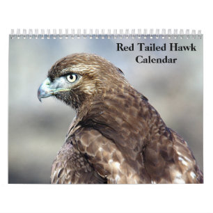 Red Tail Hawk 2025 Kalender