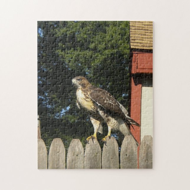 Red Tail Hawk auf Holzzaun Puzzle (Vertikal)