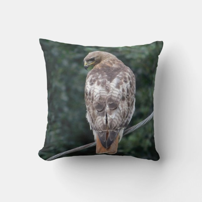 Red Tail Hawk Back Feathers Pillow Kissen (Vorderseite)