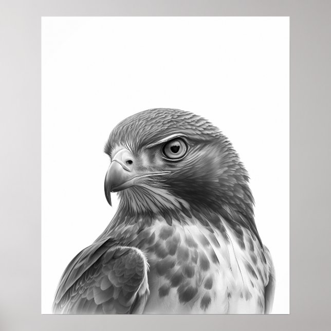 Red Tail Hawk Bird Portrait Schwarz-weiß Poster (Vorne)