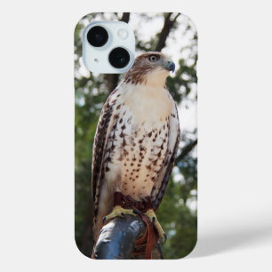 Red-Tail Hawk Case-Mate iPhone Hülle