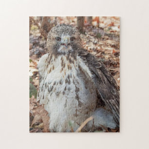 Red Tail Hawk Doubled Puzzle