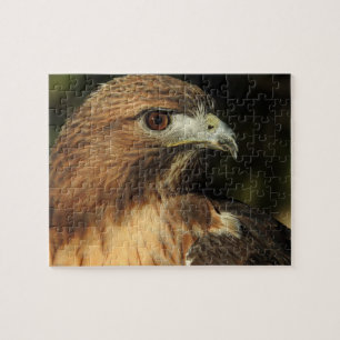 Red Tail Hawk Puzzle