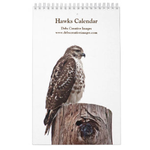 Red Tail Hawks 2025 Kalender