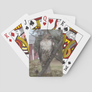 Red-tailed Hawk Bicycle Playing Cards Spielkarten