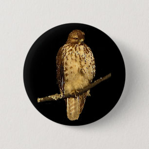 Red Tailing Hawk Button