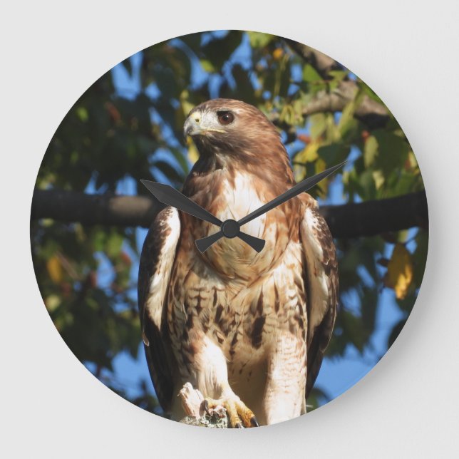 Red Tailing Hawk Große Wanduhr (Vorderseite)