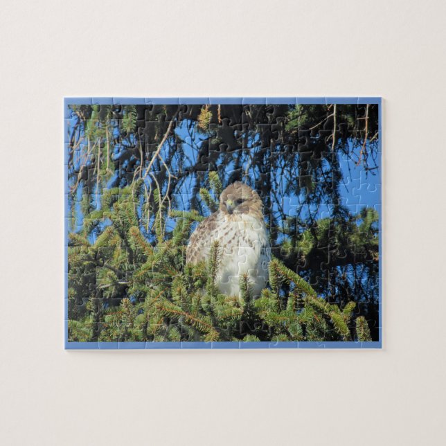 Red Tailing Hawk Puzzle (Horizontal)