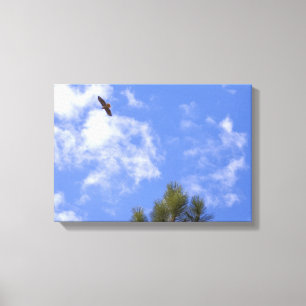 Red Tailing Hawk Wrapped Canvas Leinwanddruck